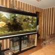 3-x ккв., г. Феодосия, ул. Одесская, 70 м²